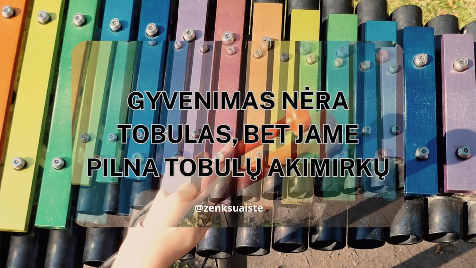 Spalvingas lauko muzikos instrumentas – paskyros „Ženk su Aiste“ viršelio nuotrauka